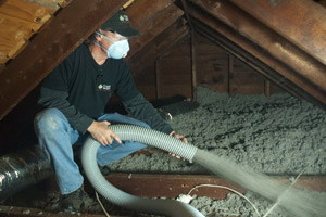 Blown Insulation in Long Branch