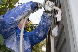 Wall Insulation